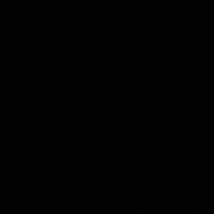 Meet your Posher, George